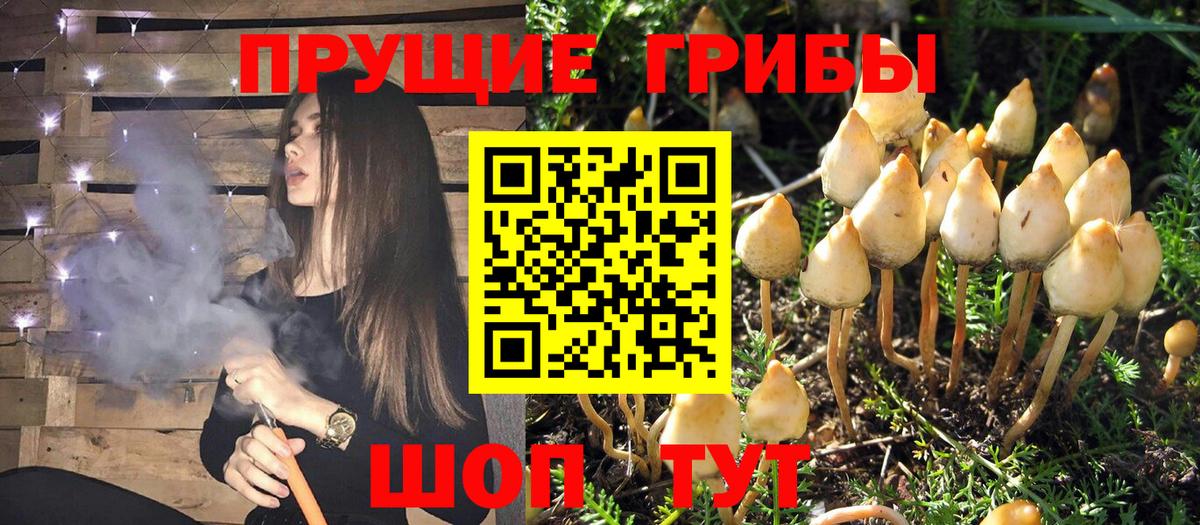 Изобильный  Галлюциногенные грибы ЛСД  Галлюциногенные грибы GOLDEN TEACHER  Вход с VPN 